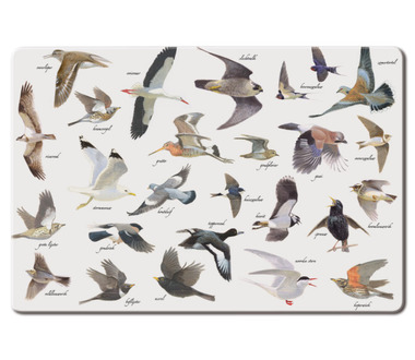 bekking_&amp;_blitz_placemat_vogels[1].jpg